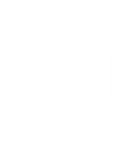 Rene Staud Gallery