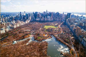 New York Central Park (The Gates)